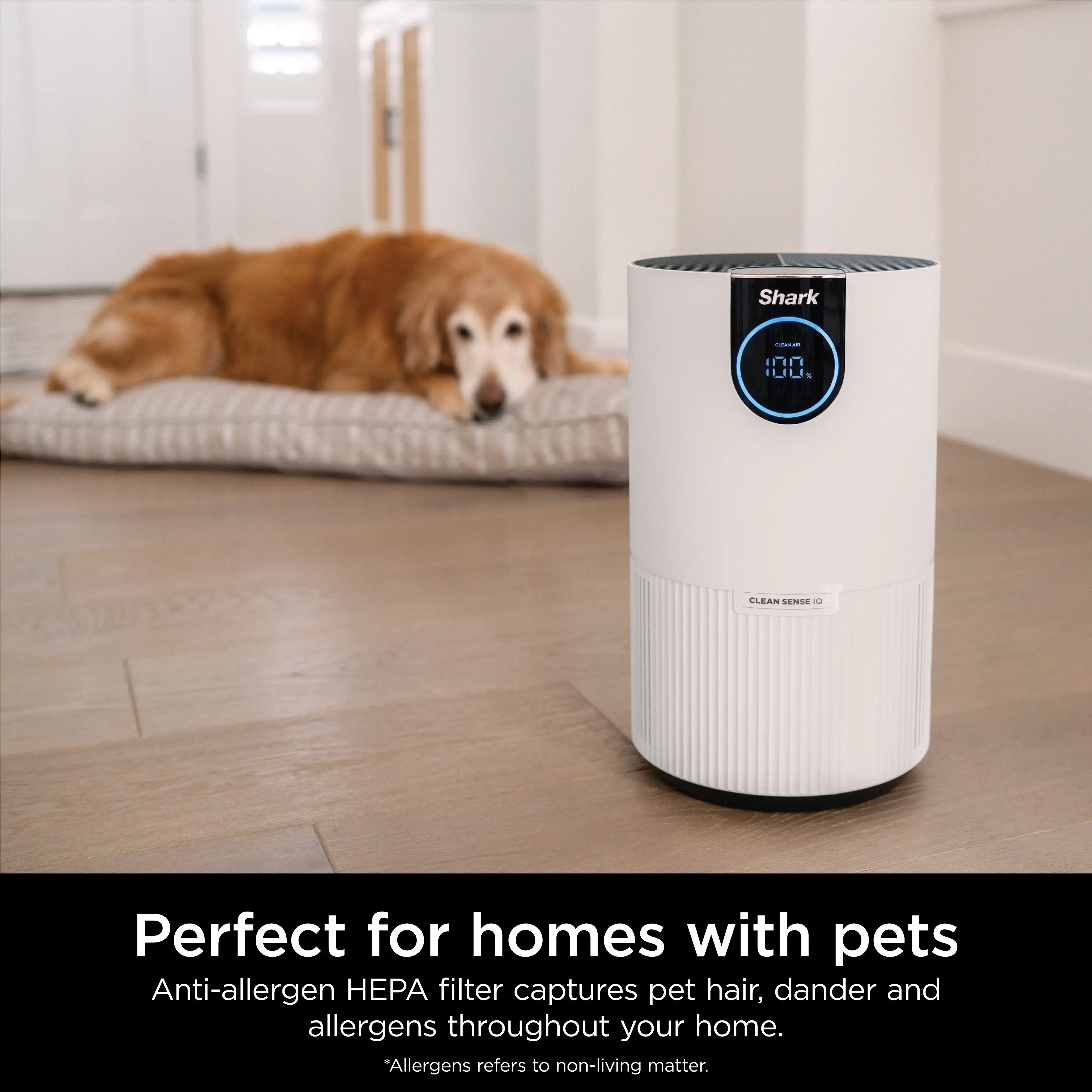 Air Purifier with True HEPA - HP102