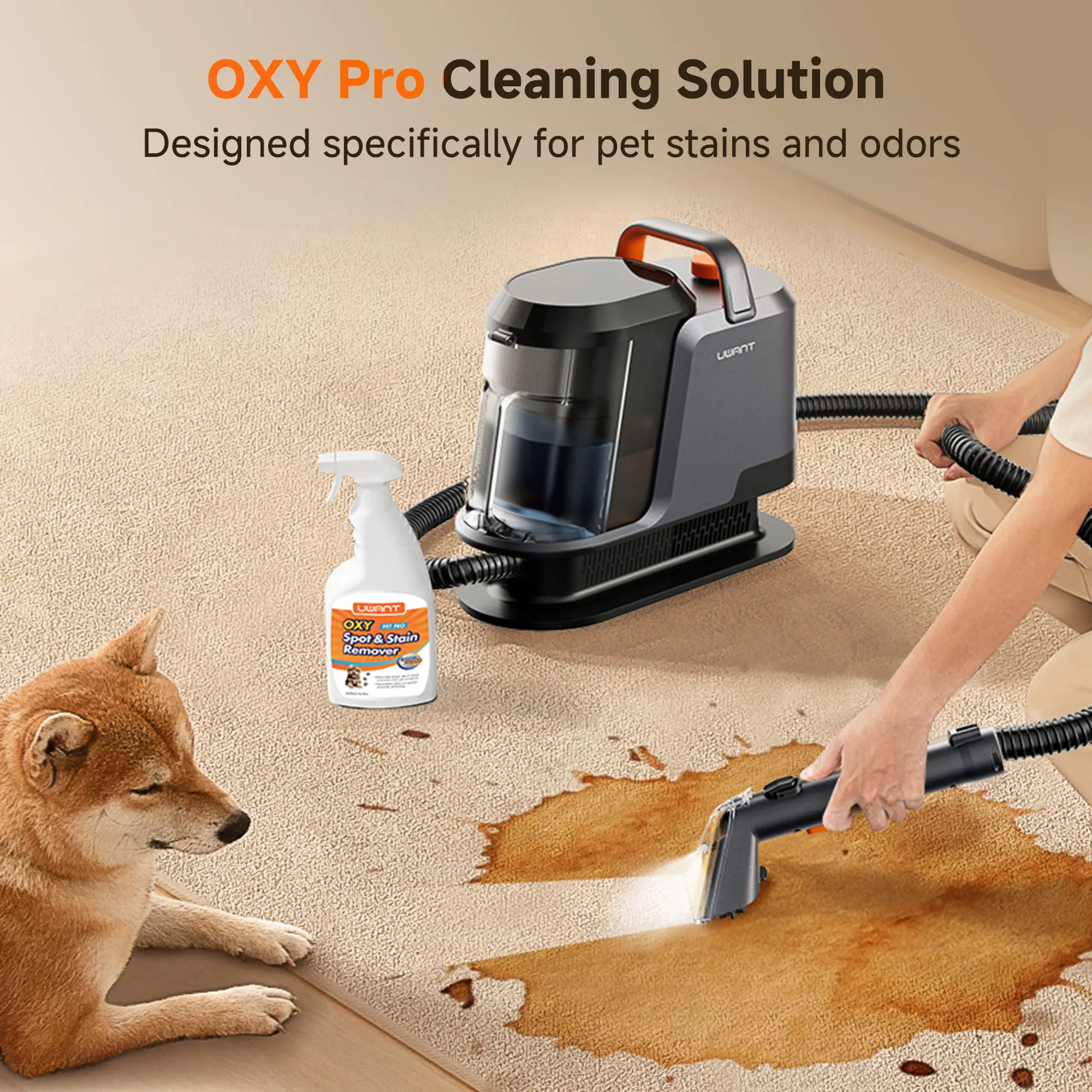 Portable Carpet Cleaner Machine ZY, 18000Pa