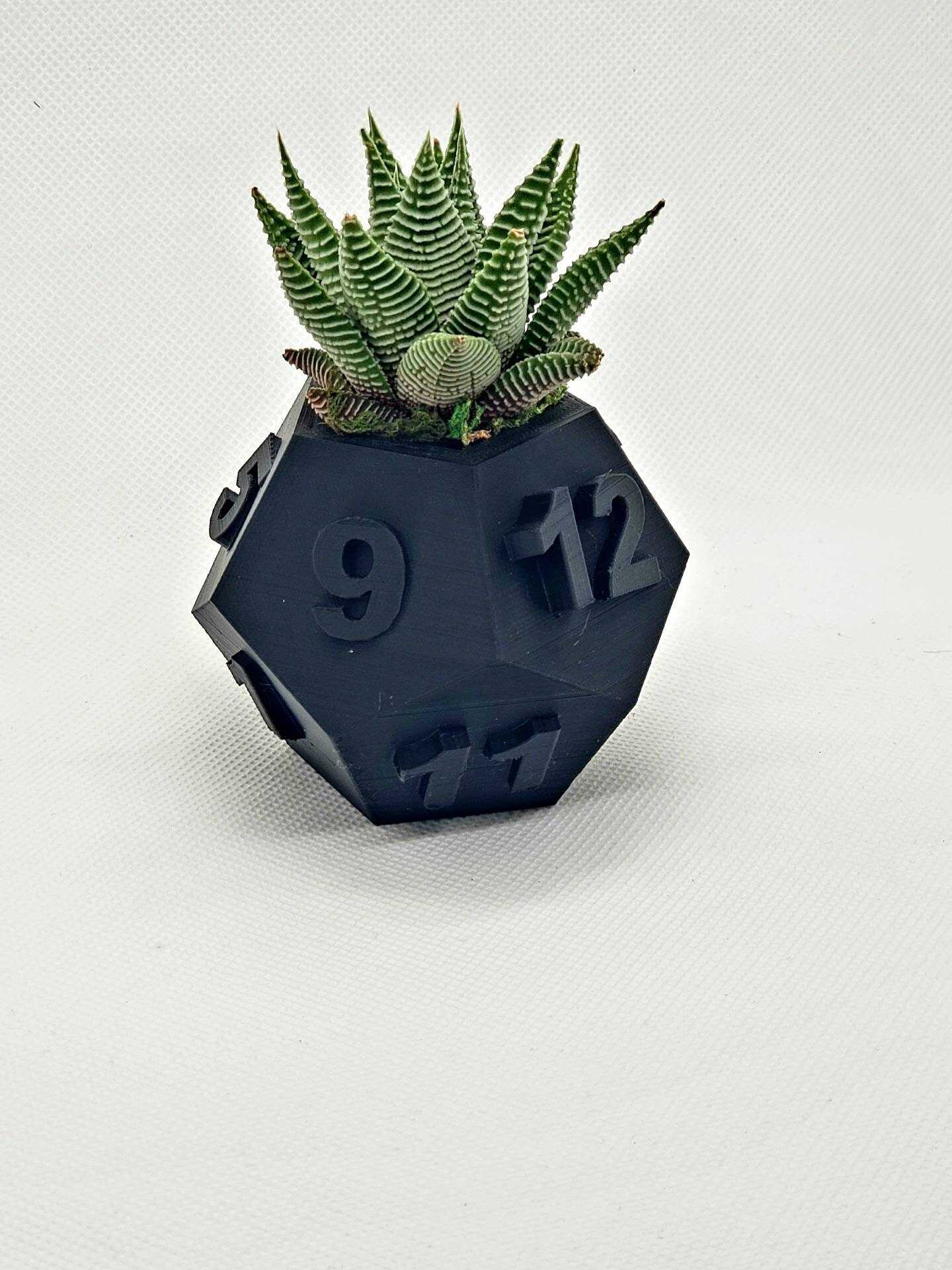 Dice flowerpot