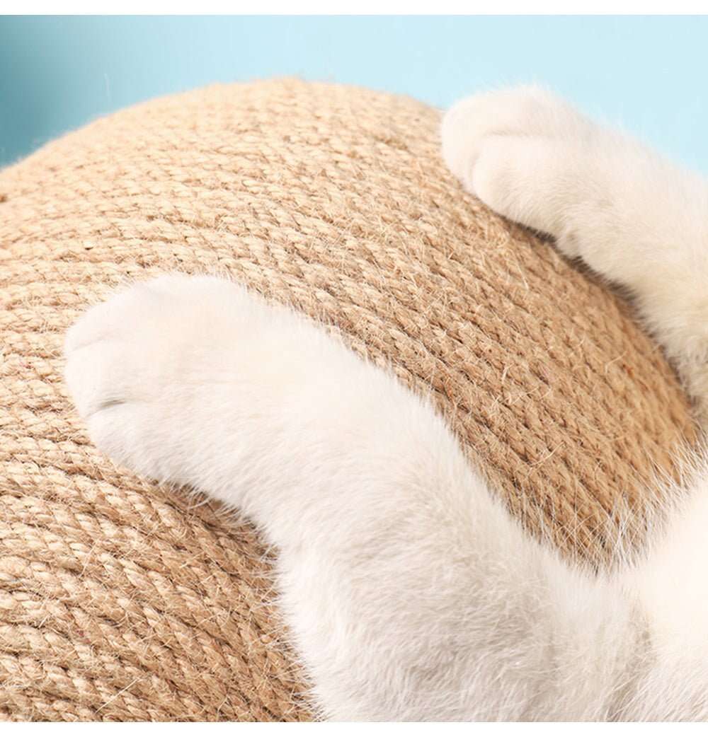 💗Multifunctional Cat Toy🥰