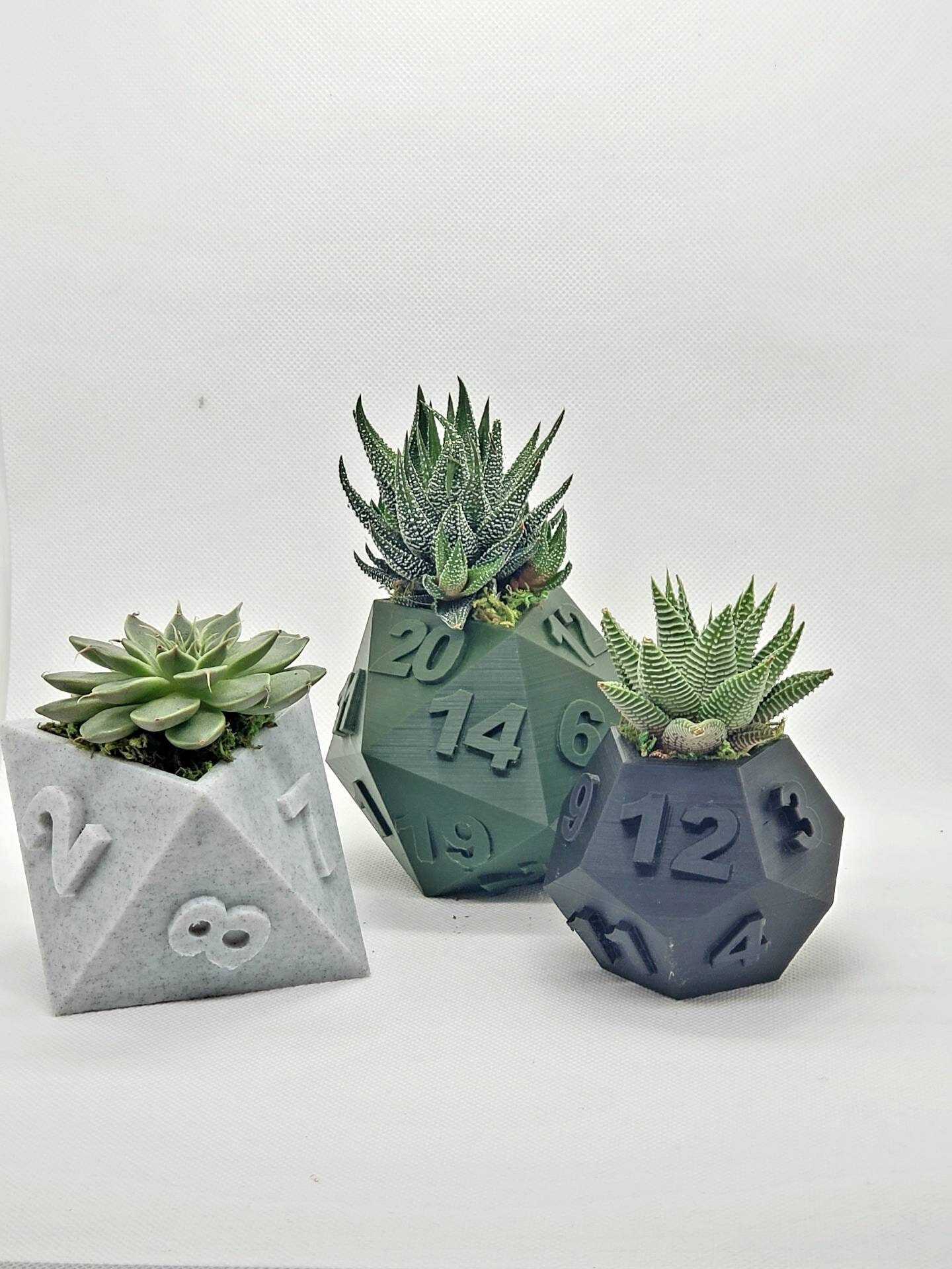 Dice flowerpot