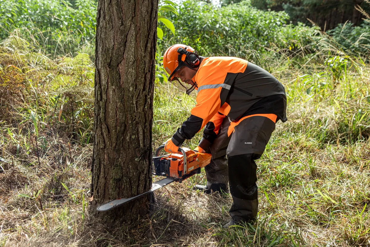 372 XP® X-TORQ Gas Chainsaw