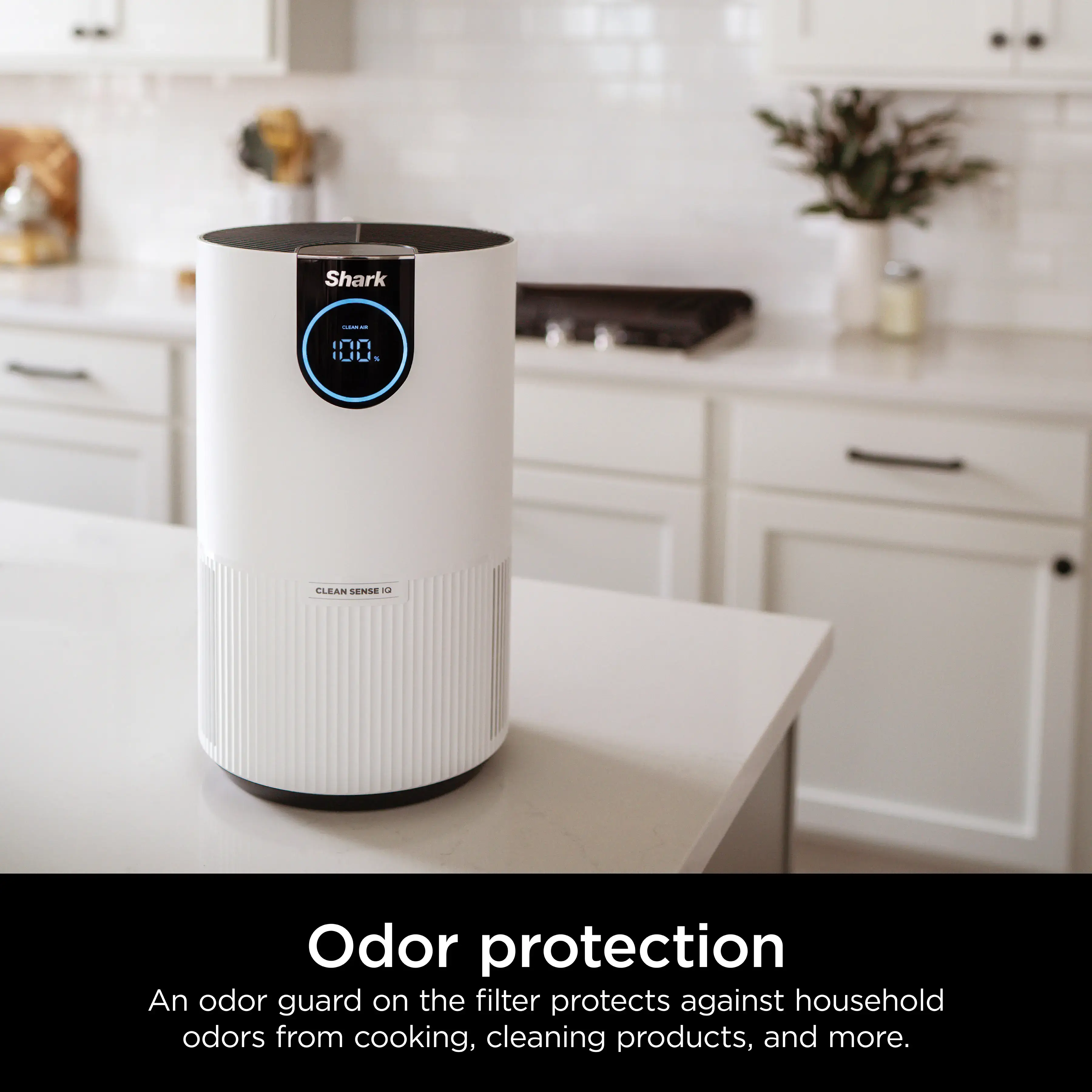 Air Purifier with True HEPA - HP102