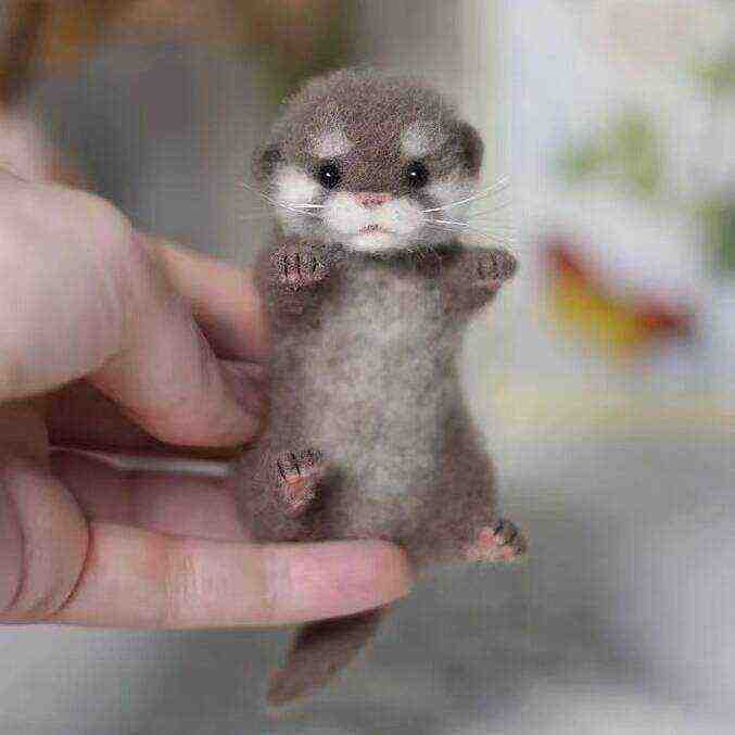 🦦Cute Mini Needle Felted Otter