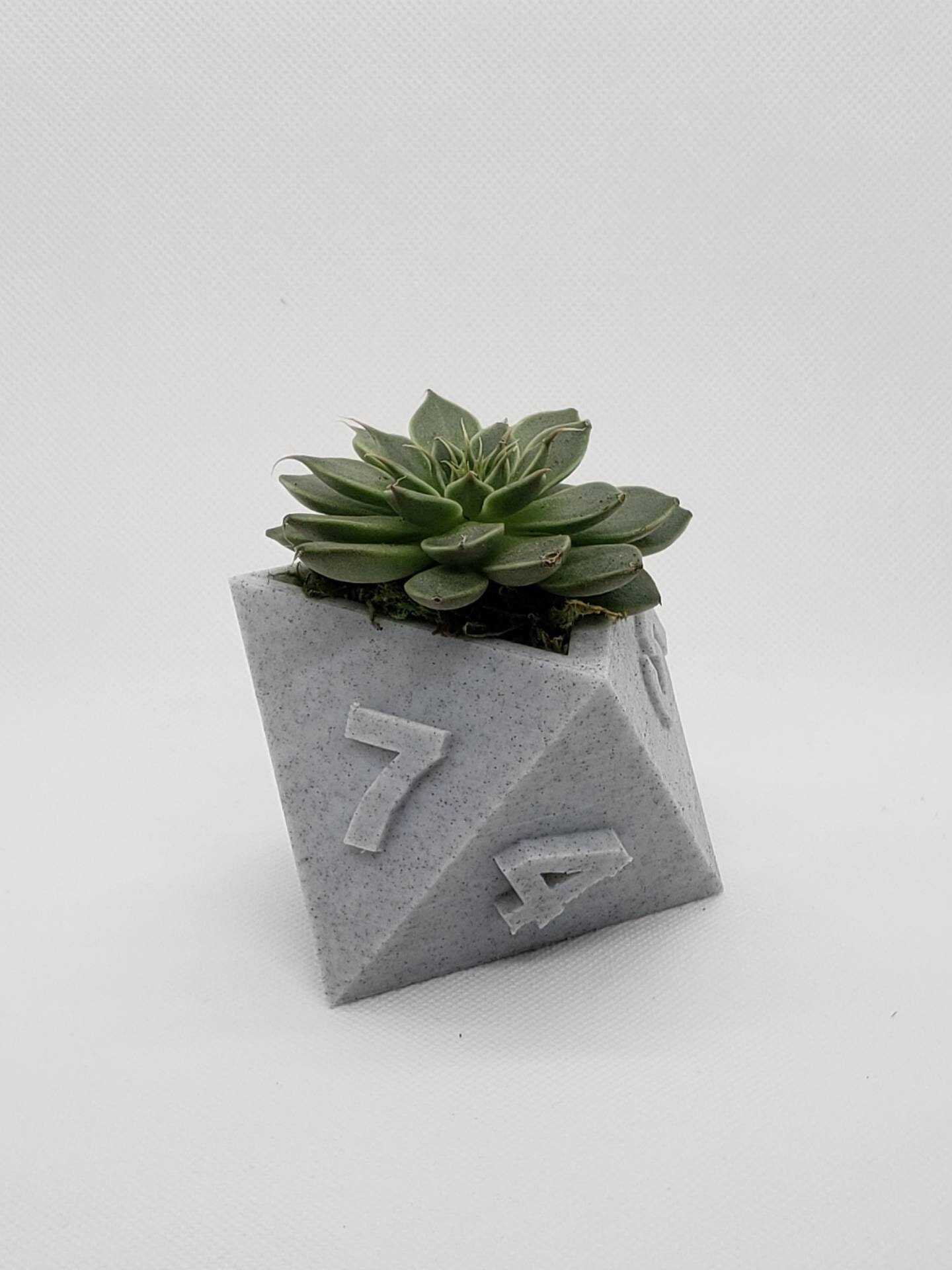 Dice flowerpot