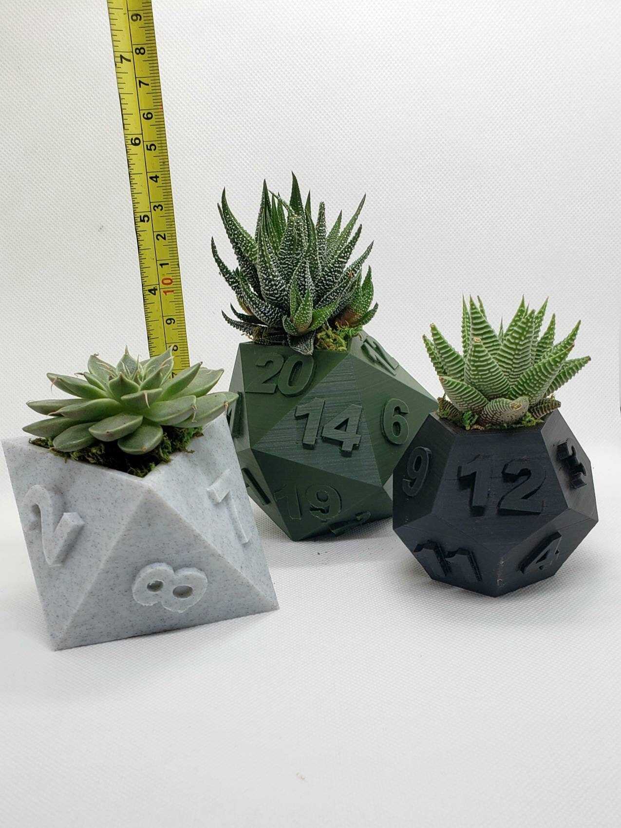 Dice flowerpot