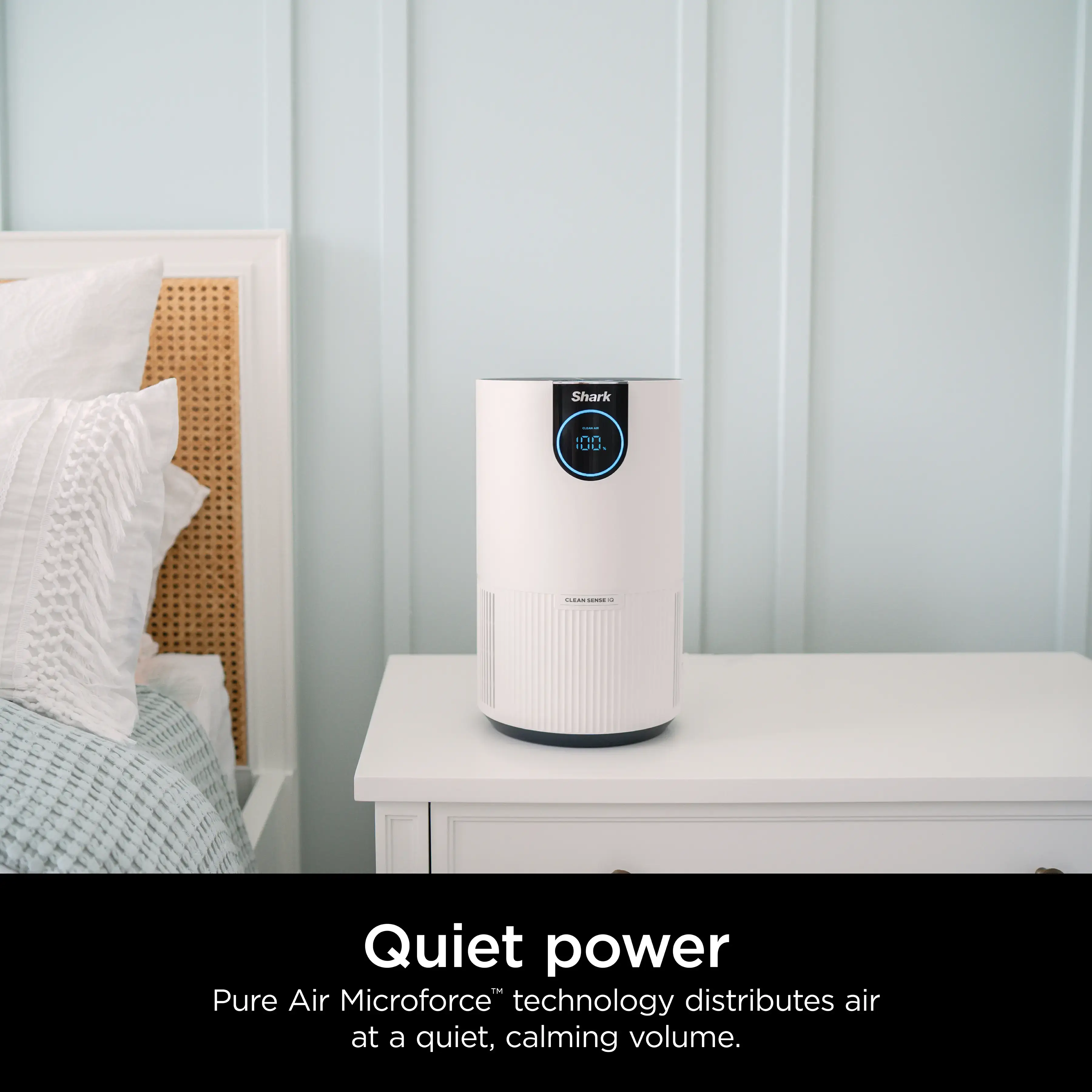 Air Purifier with True HEPA - HP102