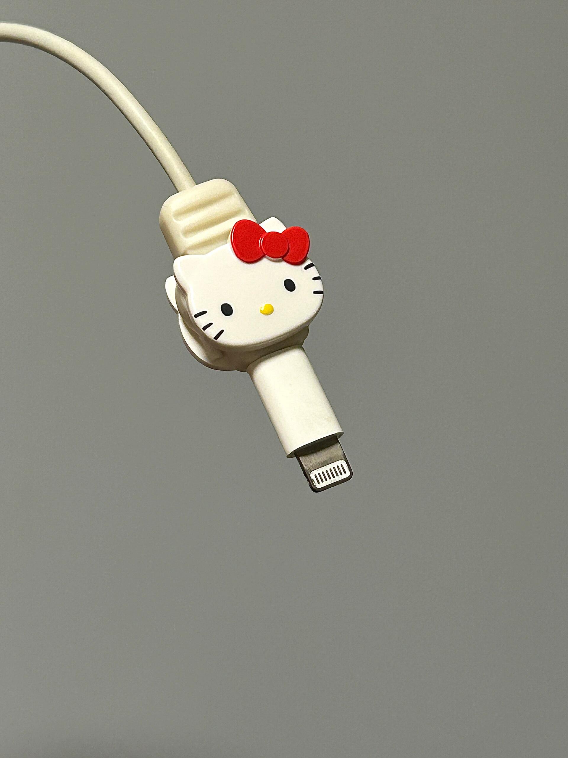 Sanrio Phone Charger Cable Save Cable Protector PVC