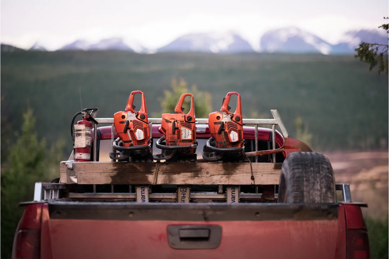 372 XP® X-TORQ Gas Chainsaw