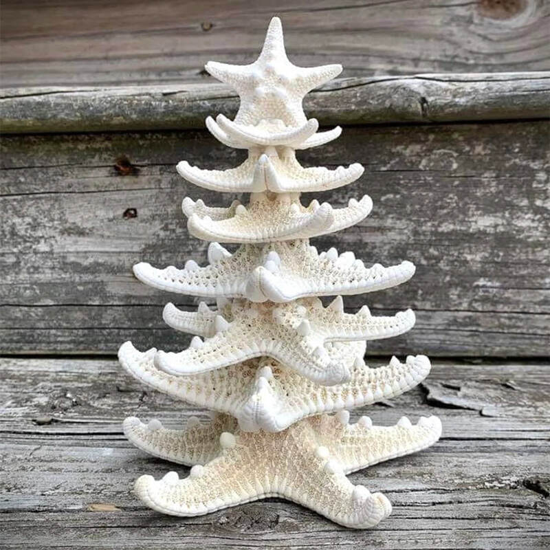 Starfish Tree