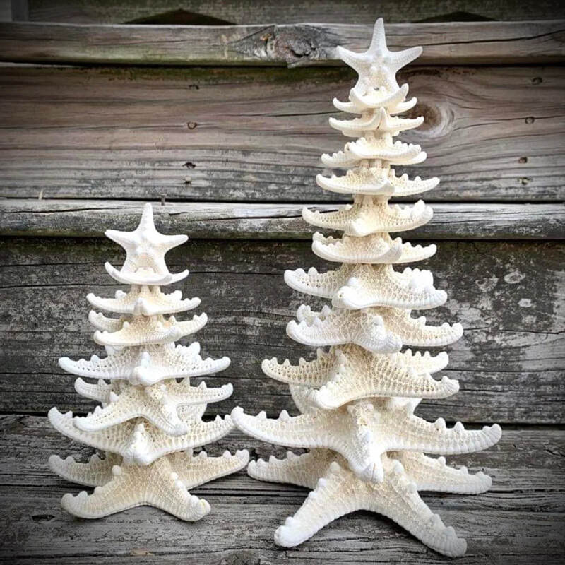 Starfish Tree