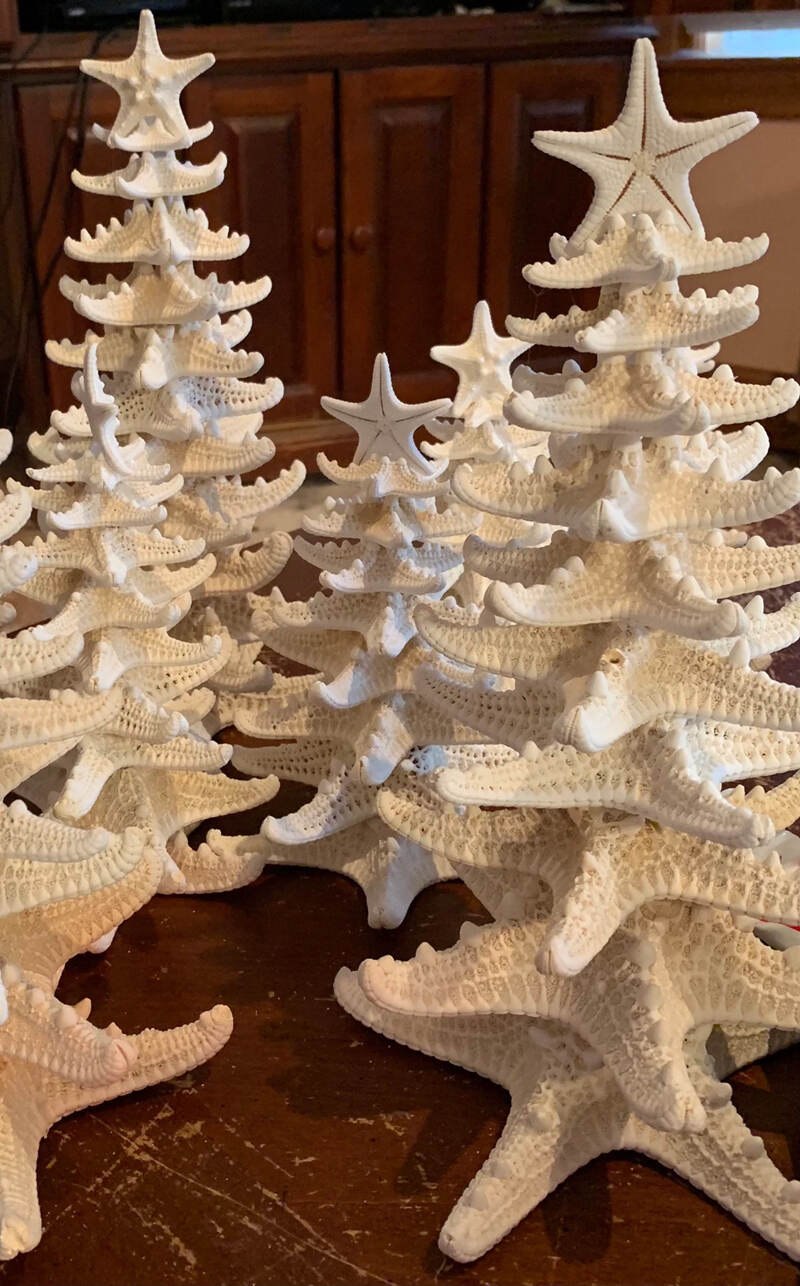 Starfish Tree