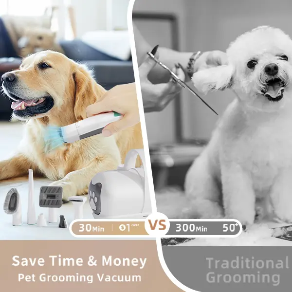 Pet Groomer 7-in-1 Vacuum Clippers for Dogs & Cats